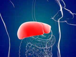 Liver-Cancer-1-1-320x240