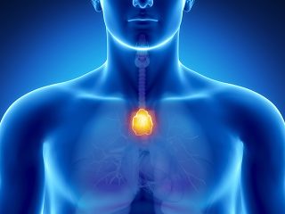 Mediastinal-Cancer-1-320x240