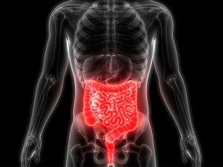 Peritoneal-Surface-2-1-320x240