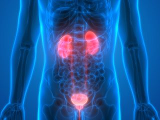 Renal-cancer-1-320x240